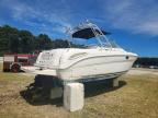 2003 Sea Ray 290 Amberjack-Boat