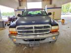 2001 Dodge Dakota Quattro