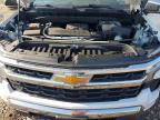 2024 Chevrolet Silverado K1500 LT