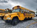 2019 Blub Bus