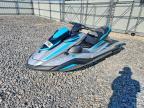 2024 YAM FX Cruiser