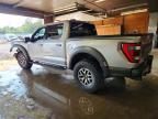 2023 Ford F150 Raptor