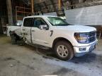 2025 Ford F150 XLT