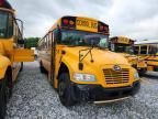 2019 Blub Bus