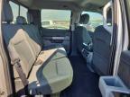 2025 Ford F150 XLT