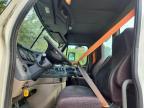 2017 Freightliner Cascadia 113