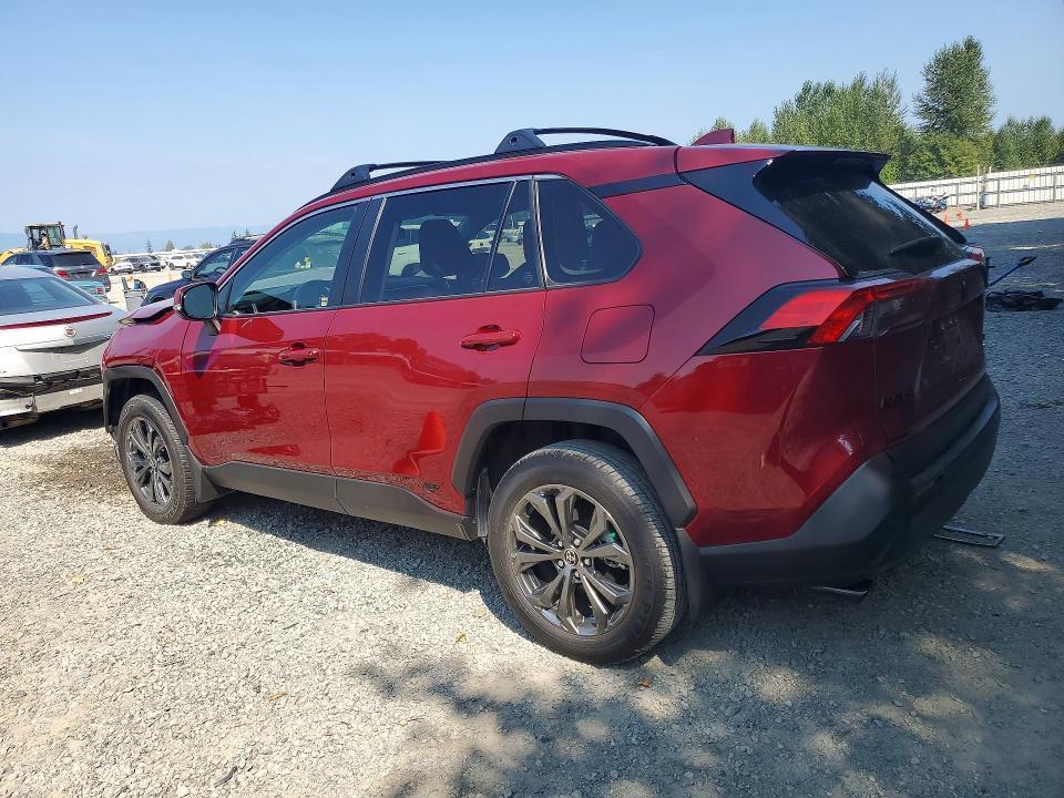 2025 Toyota Rav4 xle Premium