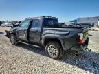2026 Toyota Tacoma Limited HV