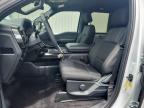 2025 Ford F150 STX