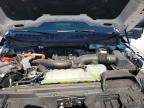 2025 Ford F150 XLT