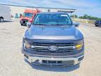 2024 Ford F150 XLT