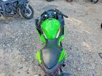 2025 Kawasaki EX500 H