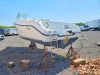 2004 Seaswirl Boat-Boat