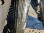2019 Harley-Davidson Fxbb