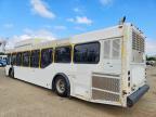2010 El Dorado Axess