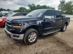 2025 Ford F150 XLT
