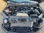2024 Ford F150 STX