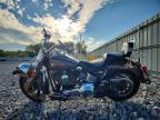 2004 Harley-Davidson Flstc