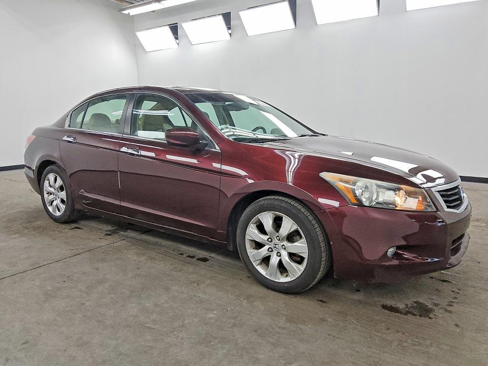 2010 Honda Accord EXL