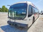 2019 Proterra Bus