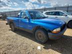 2000 Dodge Dakota