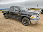 2009 Dodge RAM 1500