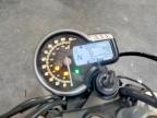 2025 Triumph Scrambler 400 X
