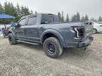 2019 Ford F150 Raptor