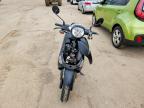 2021 Genuine Scooter Co. Buddy 170I