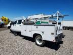 2025 International CV515