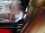 2025 Honda CRF300 Dirt Bike