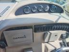 2003 Sea Ray 290 Amberjack-Boat