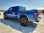 2017 Ford F150 Raptor