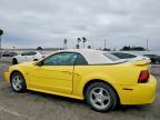 2003 Ford Mustang
