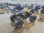 2012 Urwi 2012 Shandong Liangzi Power ATV