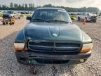 2000 Dodge Dakota Quattro