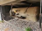1999 Ford Motorhome Chassis RV