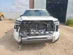 2025 Toyota Tundra 1794 Edition
