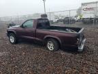 2004 Dodge Dakota SXT