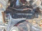 2020 Harley-Davidson Flhcs