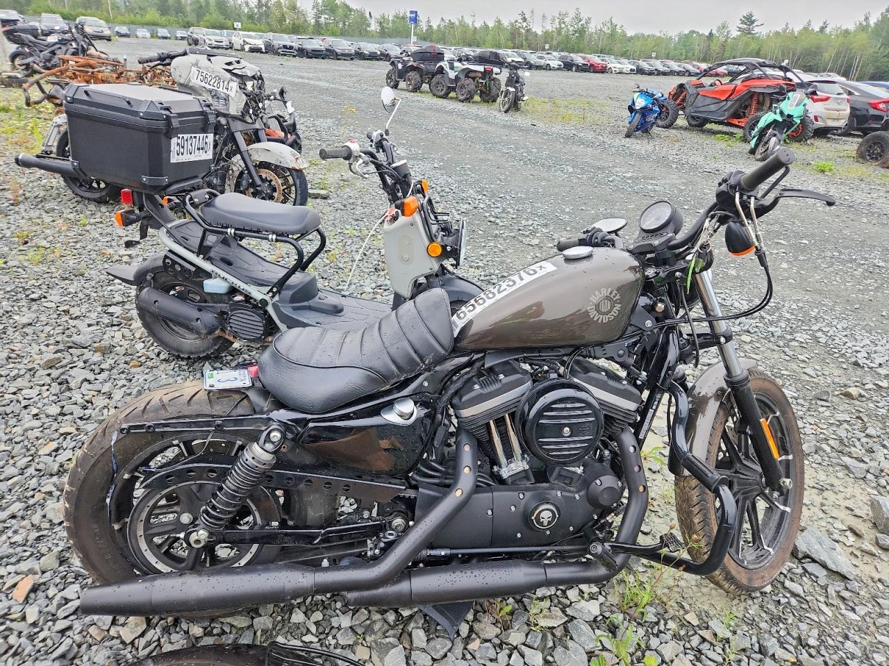 2020 Harley-Davidson XL883 N