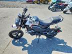 2024 Cf Moto Papio CL