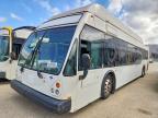 2013 El Dorado Axess