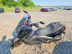 2025 Yamaha CZD300 A