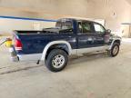 2001 Dodge Dakota Quattro