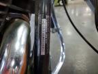 1991 Harley-Davidson Flstc
