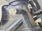 2013 Triumph Bonneville