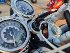 2024 Triumph Speed Twin Breitling Edition