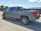 2024 Ford F150 XLT
