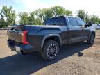 2023 Toyota Tundra Crewmax Limited